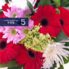 Mixed Bouquet with Daisies非洲菊混搭花束 - Image 3
