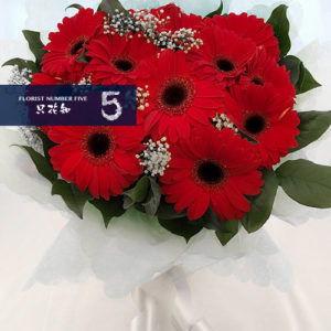 Bouquet of Red Daisies 紅色非洲菊花束