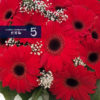 Bouquet of Red Daisies 紅色非洲菊花束 - Image 3