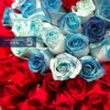 99 Roses Bouquet 九十九朵玫瑰花束 - Image 3