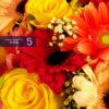 Bouquet of Roses & Daisies 玫瑰非洲菊花束 - Image 3