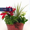 Seasonal Flower with Pot - Image 4