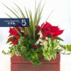 Seasonal Flower with Pot - Image 3