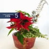 Seasonal Flower with Pot - Image 5