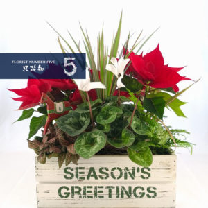 Seasonal Flower with Pot