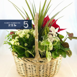 Seasonal Flower in Basket