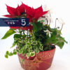 Seasonal Flower with Pot - Image 2