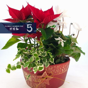 Seasonal Flower with Pot