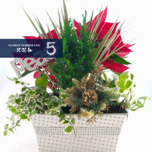 Seasonal Flower with Pot